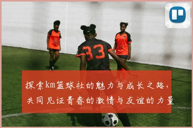 探索km篮球社的魅力与成长之路，共同见证青春的激情与友谊的力量
