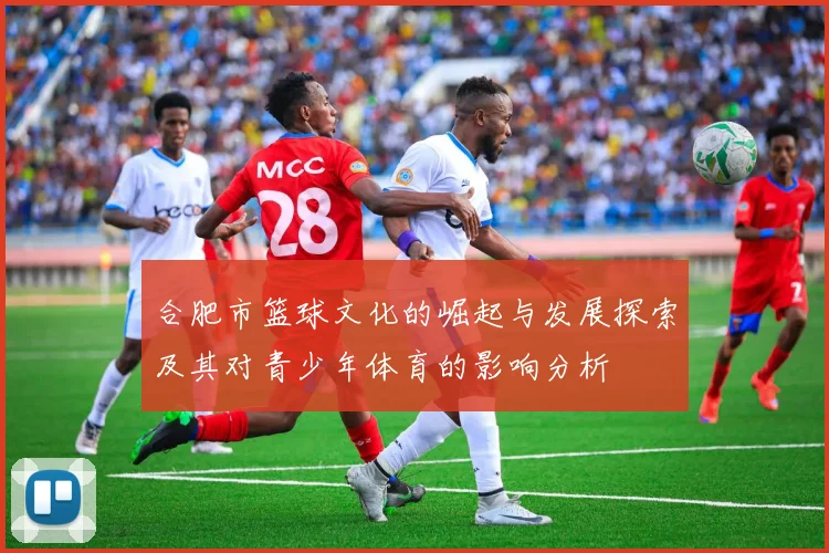 合肥市篮球文化的崛起与发展探索及其对青少年体育的影响分析