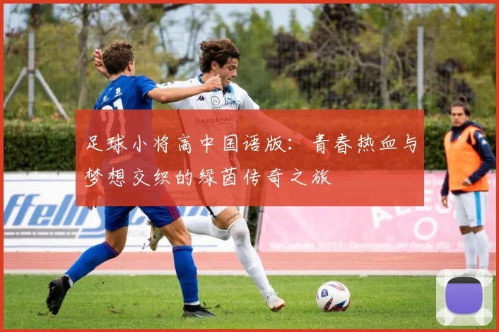 足球小将高中国语版：青春热血与梦想交织的绿茵传奇之旅