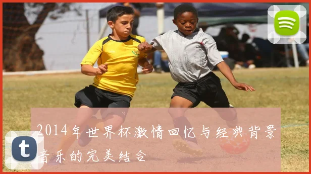 2014年世界杯激情回忆与经典背景音乐的完美结合