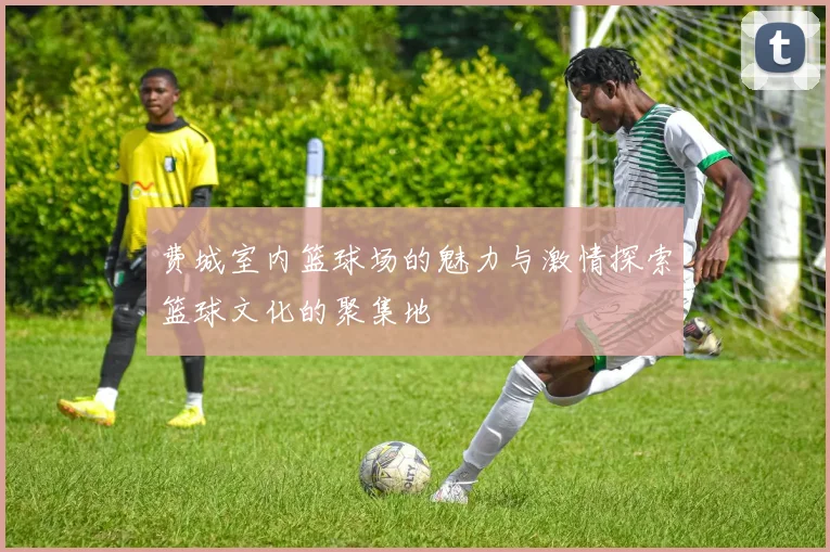 费城室内篮球场的魅力与激情探索篮球文化的聚集地
